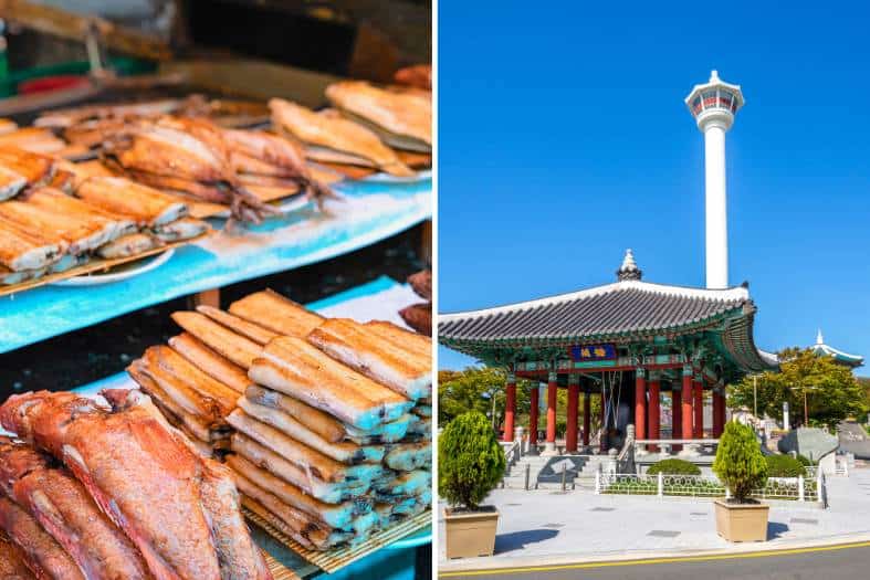 the busan tv tower and seafood