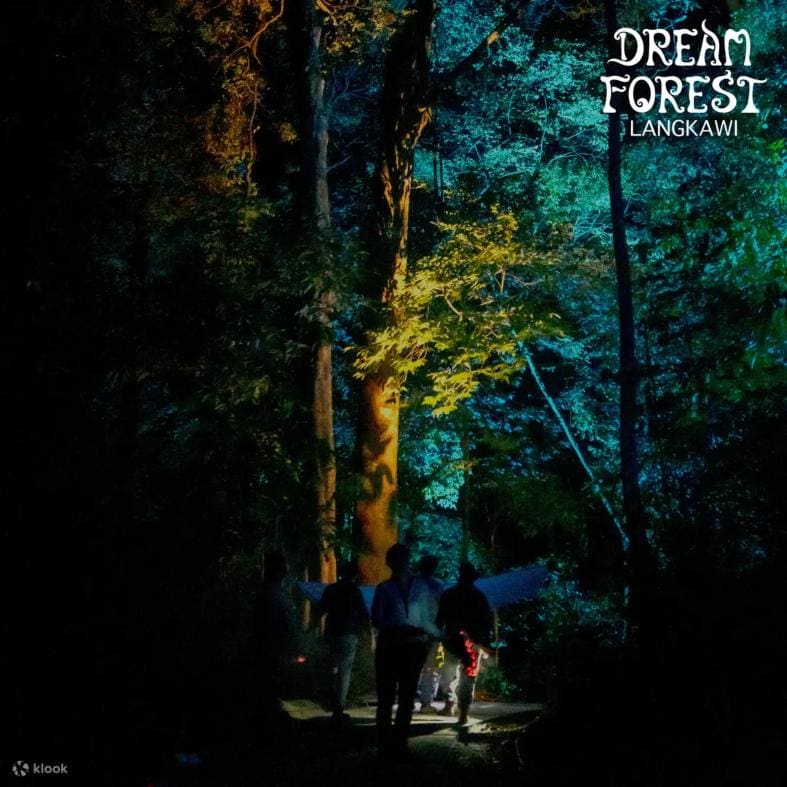 people walking through the forest in Langkawi that is illuminated at night