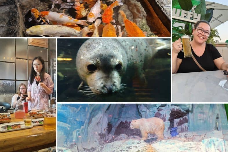 a collage of animals and fish