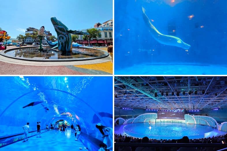 a collage of different images of a whale swimming in a tunnel