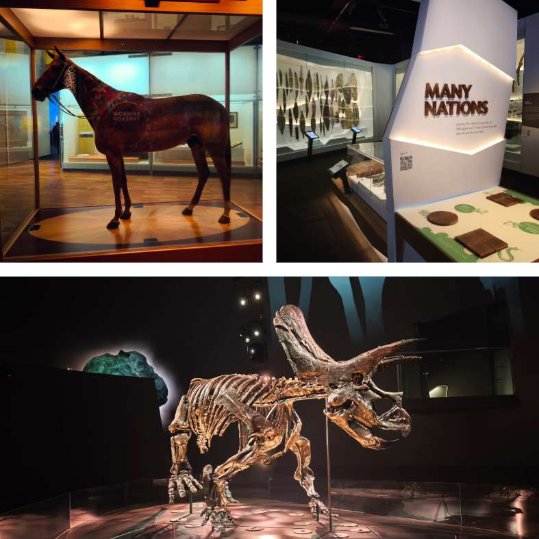 a collage of pictures from the Melbourne Museum