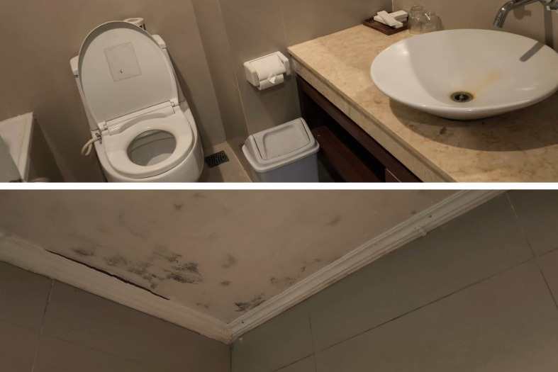 The bathroom with mould on the roof